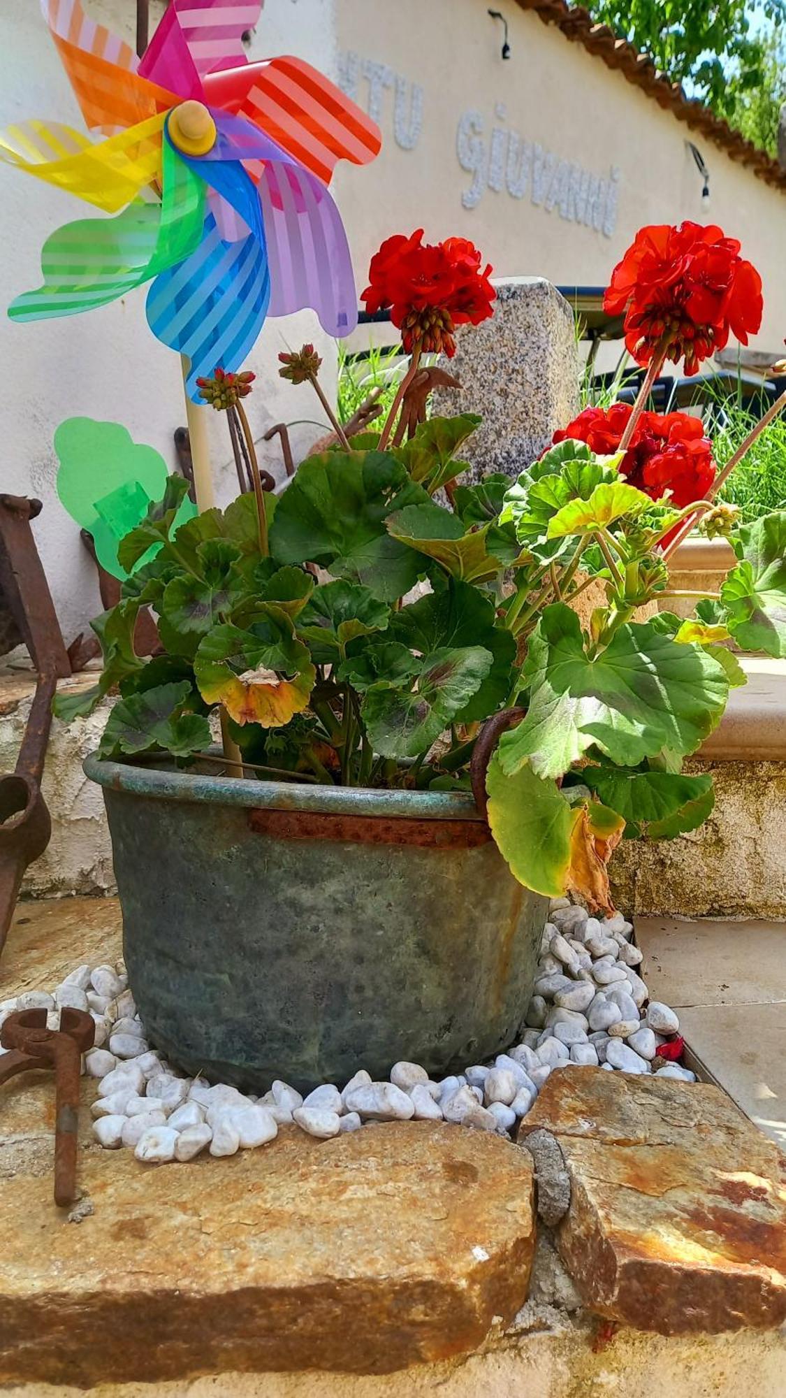 "B&B Santu Giuvanni" Fonni Exterior photo